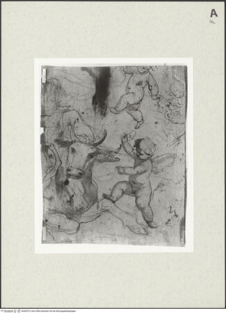 Vorderseite von bh462913_recto