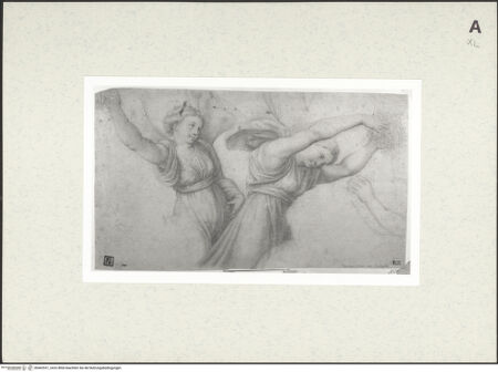 Vorderseite von bh462921_recto