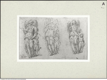 Vorderseite von bh462925_recto