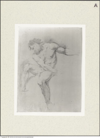 Vorderseite von bh462958_recto