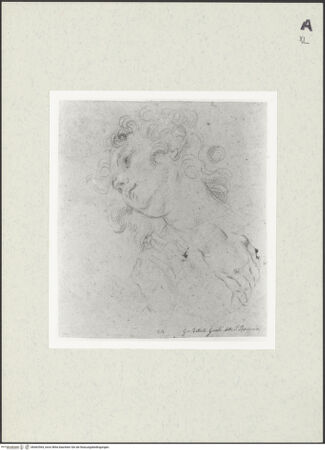 Vorderseite von bh462964_recto