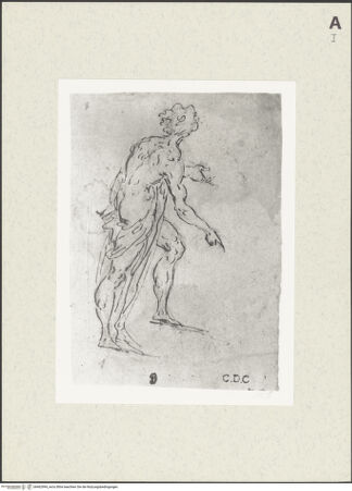 Vorderseite von bh462994_recto