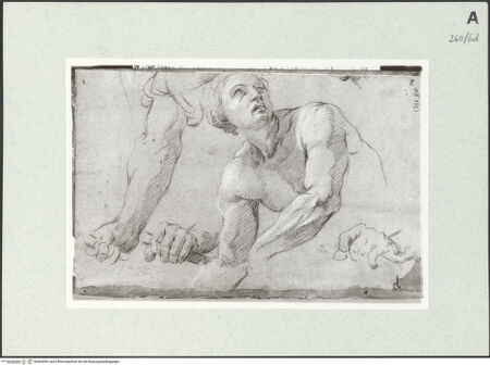 Vorderseite von Istituto Nazionale per la Grafica [https://www.deutsche-digitale-bibliothek.de/content/lizenzen/rv-ez/] Männliche Gestalt in Halbfigur und Armstudien - , bh463099_recto. Foto.