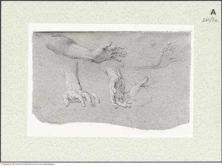 Vorderseite von Istituto Nazionale per la Grafica [https://www.deutsche-digitale-bibliothek.de/content/lizenzen/rv-ez/] Armstudien - , bh463100_recto. Foto.