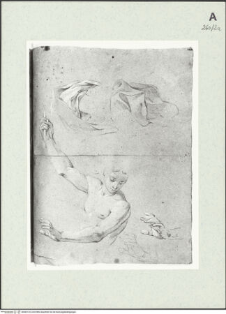 Vorderseite von Istituto Nazionale per la Grafica [https://www.deutsche-digitale-bibliothek.de/content/lizenzen/rv-ez/] Studien zu einer männlichen Gestalt in Halbfigur. Draperie - , bh463129_recto. Foto.