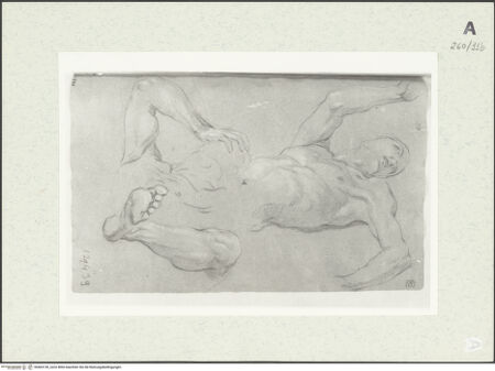 Vorderseite von Istituto Nazionale per la Grafica [https://www.deutsche-digitale-bibliothek.de/content/lizenzen/rv-ez/] Studien zu einer liegenden männlichen Gestalt - , bh463130_recto. Foto.