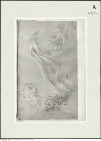 Vorderseite von Istituto Nazionale per la Grafica [https://www.deutsche-digitale-bibliothek.de/content/lizenzen/rv-ez/] Kopf- und Draperiestudien - , bh463131_recto. Foto.