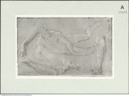 Vorderseite von Istituto Nazionale per la Grafica [https://www.deutsche-digitale-bibliothek.de/content/lizenzen/rv-ez/] Studien zu einer liegenden männlichen Gestalt - , bh463132_recto. Foto.