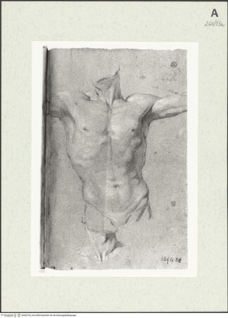 Vorderseite von Istituto Nazionale per la Grafica [https://www.deutsche-digitale-bibliothek.de/content/lizenzen/rv-ez/] Männlicher Torso - , bh463134_recto. Foto.
