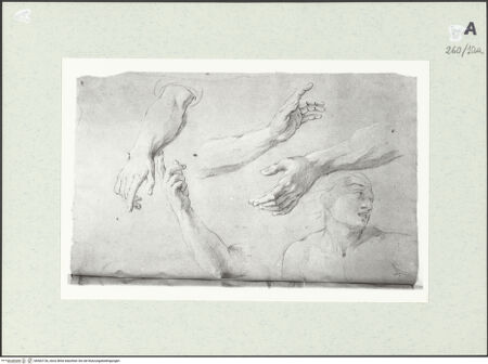 Vorderseite von Istituto Nazionale per la Grafica [https://www.deutsche-digitale-bibliothek.de/content/lizenzen/rv-ez/] Armstudien und männliche Büste - , bh463136_recto. Foto.