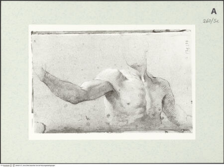 Vorderseite von Istituto Nazionale per la Grafica [https://www.deutsche-digitale-bibliothek.de/content/lizenzen/rv-ez/] Männliche Gestalt in Halbfigur - , bh463137_recto. Foto.