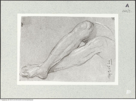 Vorderseite von Istituto Nazionale per la Grafica [https://www.deutsche-digitale-bibliothek.de/content/lizenzen/rv-ez/] Beinstudien - , bh463159_recto. Foto.