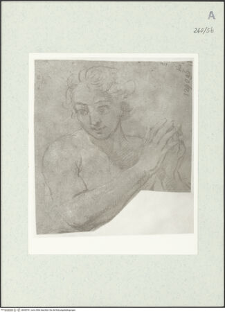 Vorderseite von Istituto Nazionale per la Grafica [https://www.deutsche-digitale-bibliothek.de/content/lizenzen/rv-ez/] Männliche Gestalt mit gefalteten Händen in Halbfigur - , bh463161_recto. Foto.