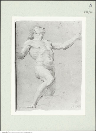 Vorderseite von Istituto Nazionale per la Grafica [https://www.deutsche-digitale-bibliothek.de/content/lizenzen/rv-ez/] Stehende männliche Gestalt - , bh463162_recto. Foto.