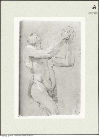 Vorderseite von Istituto Nazionale per la Grafica [https://www.deutsche-digitale-bibliothek.de/content/lizenzen/rv-ez/] Stehende männliche Gestalt mit gefalteten Händen - , bh463163_recto. Foto.