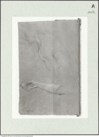 Vorderseite von Istituto Nazionale per la Grafica [https://www.deutsche-digitale-bibliothek.de/content/lizenzen/rv-ez/] Skizze zu einer männlichen Gestalt und Armstudie - , bh463170_recto. Foto.