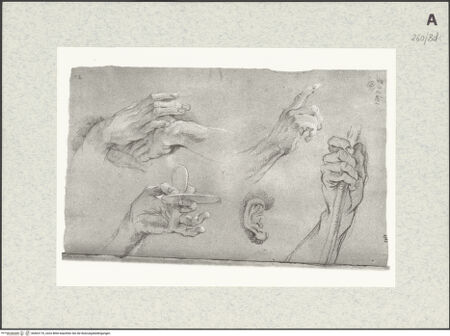 Vorderseite von Istituto Nazionale per la Grafica [https://www.deutsche-digitale-bibliothek.de/content/lizenzen/rv-ez/] Studien zu Händen und zu einem Ohr - , bh463176_recto. Foto.