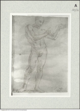 Vorderseite von Istituto Nazionale per la Grafica [https://www.deutsche-digitale-bibliothek.de/content/lizenzen/rv-ez/] Stehende männliche Gestalt - , bh463179_recto. Foto.