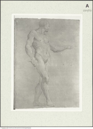 Vorderseite von Istituto Nazionale per la Grafica [https://www.deutsche-digitale-bibliothek.de/content/lizenzen/rv-ez/] Stehende männliche Gestalt - , bh463189_recto. Foto.