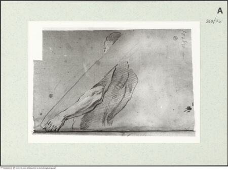 Vorderseite von Istituto Nazionale per la Grafica [https://www.deutsche-digitale-bibliothek.de/content/lizenzen/rv-ez/] Stehende männliche Gestalt in Halbfigur - , bh463190_recto. Foto.