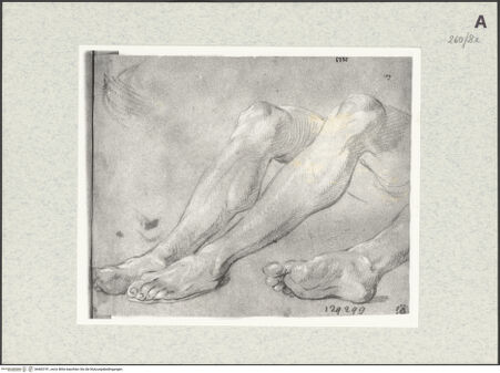 Vorderseite von Istituto Nazionale per la Grafica [https://www.deutsche-digitale-bibliothek.de/content/lizenzen/rv-ez/] Beinstudien - , bh463191_recto. Foto.