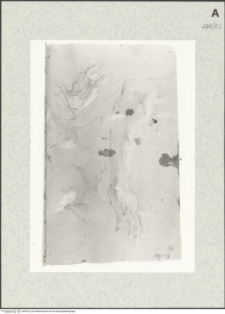 Vorderseite von Istituto Nazionale per la Grafica [https://www.deutsche-digitale-bibliothek.de/content/lizenzen/rv-ez/] Detailstudien - , bh463195_recto. Foto.