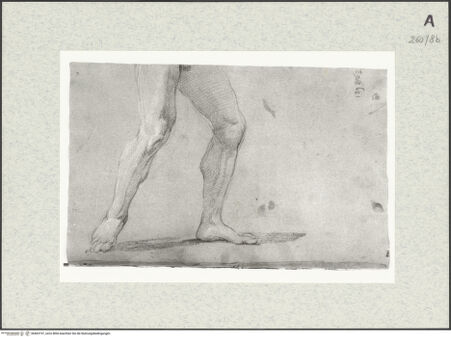 Vorderseite von Istituto Nazionale per la Grafica [https://www.deutsche-digitale-bibliothek.de/content/lizenzen/rv-ez/] Studie zu einem Beinpaar - , bh463197_recto. Foto.