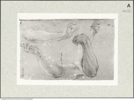 Vorderseite von Istituto Nazionale per la Grafica [https://www.deutsche-digitale-bibliothek.de/content/lizenzen/rv-ez/] Armstudien - , bh463204_recto. Foto.