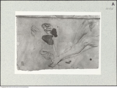 Vorderseite von Istituto Nazionale per la Grafica [https://www.deutsche-digitale-bibliothek.de/content/lizenzen/rv-ez/] Bein- und Draperiestudien - , bh463205_recto. Foto.