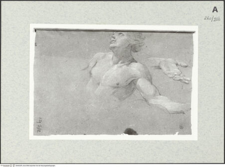 Vorderseite von Istituto Nazionale per la Grafica [https://www.deutsche-digitale-bibliothek.de/content/lizenzen/rv-ez/] Männliche Gestalt in Halbfigur und Wiederholung seiner Hand - , bh463209_recto. Foto.