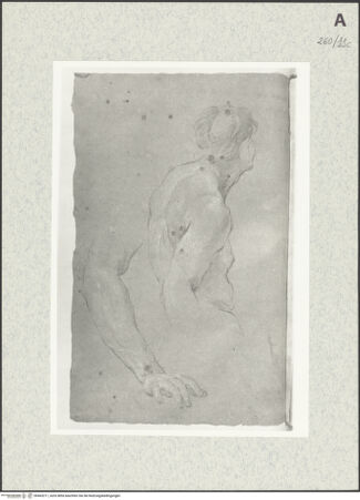 Vorderseite von Istituto Nazionale per la Grafica [https://www.deutsche-digitale-bibliothek.de/content/lizenzen/rv-ez/] Männliche Gestalt in Halbfigur und Armstudie - , bh463211_recto. Foto.