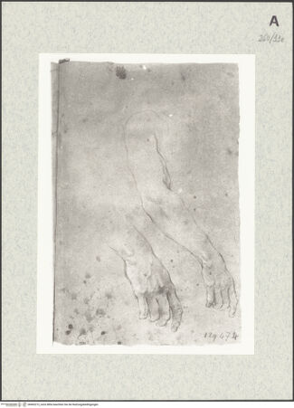 Vorderseite von Istituto Nazionale per la Grafica [https://www.deutsche-digitale-bibliothek.de/content/lizenzen/rv-ez/] Armstudien - , bh463212_recto. Foto.