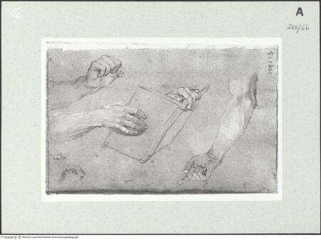 Vorderseite von Istituto Nazionale per la Grafica [https://www.deutsche-digitale-bibliothek.de/content/lizenzen/rv-ez/] Detailstudien - , bh463237_recto. Foto.