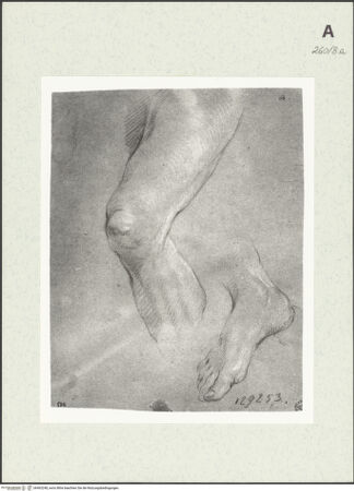 Vorderseite von Istituto Nazionale per la Grafica [https://www.deutsche-digitale-bibliothek.de/content/lizenzen/rv-ez/] Studie zu einem Bein und einem Fuß - , bh463248_recto. Foto.