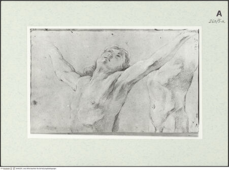 Vorderseite von Istituto Nazionale per la Grafica [https://www.deutsche-digitale-bibliothek.de/content/lizenzen/rv-ez/] Männliche Gestalt in Halbfigur. Wiederholung des Torso - , bh463251_recto. Foto.