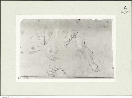 Vorderseite von Istituto Nazionale per la Grafica [https://www.deutsche-digitale-bibliothek.de/content/lizenzen/rv-ez/] Detailstudien - , bh463253_recto. Foto.