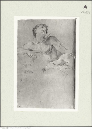 Vorderseite von Istituto Nazionale per la Grafica [https://www.deutsche-digitale-bibliothek.de/content/lizenzen/rv-ez/] Junger Mann in Halbfigur und Wiederholung seines rechten Armes - , bh463269_recto. Foto.