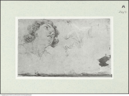 Vorderseite von Istituto Nazionale per la Grafica [https://www.deutsche-digitale-bibliothek.de/content/lizenzen/rv-ez/] Detailstudien - , bh463270_recto. Foto.