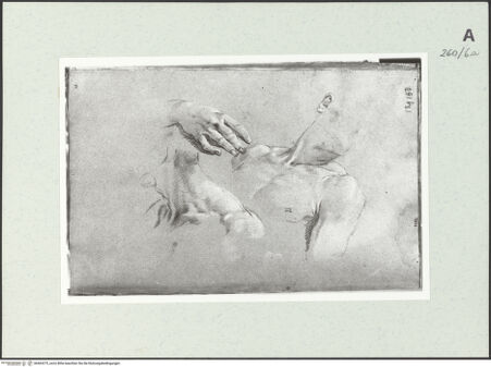 Vorderseite von Istituto Nazionale per la Grafica [https://www.deutsche-digitale-bibliothek.de/content/lizenzen/rv-ez/] Detailstudien - , bh463275_recto. Foto.