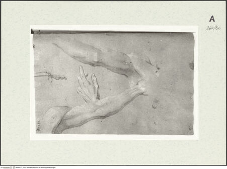 Vorderseite von Istituto Nazionale per la Grafica [https://www.deutsche-digitale-bibliothek.de/content/lizenzen/rv-ez/] Arm- und Handstudien - , bh463277_recto. Foto.