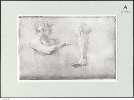 Vorderseite von Istituto Nazionale per la Grafica [https://www.deutsche-digitale-bibliothek.de/content/lizenzen/rv-ez/] Büste eines jungen Mannes und Beinstudie - , bh463291_recto. Foto.