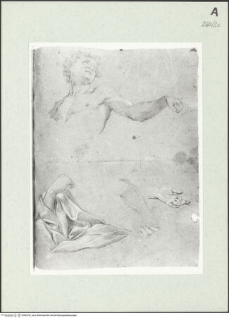 Vorderseite von Istituto Nazionale per la Grafica [https://www.deutsche-digitale-bibliothek.de/content/lizenzen/rv-ez/] Büste eines jungen Mannes und Detailstudien - , bh463292_recto. Foto.