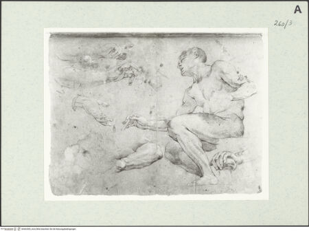 Vorderseite von Istituto Nazionale per la Grafica [https://www.deutsche-digitale-bibliothek.de/content/lizenzen/rv-ez/] Sitzende männliche Gestalt. Arm- und Handstudien - , bh463305_recto. Foto.