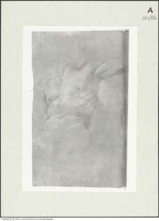 Vorderseite von Istituto Nazionale per la Grafica [https://www.deutsche-digitale-bibliothek.de/content/lizenzen/rv-ez/] Männlicher Torso - , bh463312_recto. Foto.