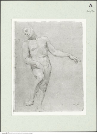 Vorderseite von Istituto Nazionale per la Grafica [https://www.deutsche-digitale-bibliothek.de/content/lizenzen/rv-ez/] Stehende männliche Gestalt - , bh463313_recto. Foto.