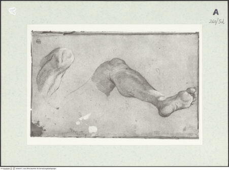 Vorderseite von Istituto Nazionale per la Grafica [https://www.deutsche-digitale-bibliothek.de/content/lizenzen/rv-ez/] Beinstudien - , bh463317_recto. Foto.