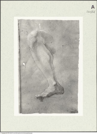 Vorderseite von Istituto Nazionale per la Grafica [https://www.deutsche-digitale-bibliothek.de/content/lizenzen/rv-ez/] Beinstudie - , bh463319_recto. Foto.