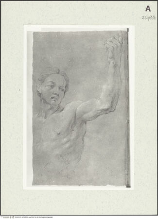 Vorderseite von Istituto Nazionale per la Grafica [https://www.deutsche-digitale-bibliothek.de/content/lizenzen/rv-ez/] Männliche Büste - , bh463322_recto. Foto.