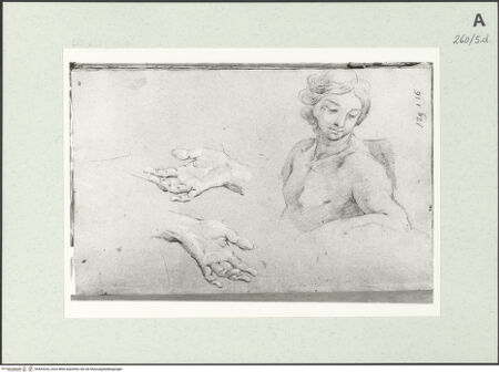 Vorderseite von Istituto Nazionale per la Grafica [https://www.deutsche-digitale-bibliothek.de/content/lizenzen/rv-ez/] Männliche Büste und Handstudien - , bh463324_recto. Foto.