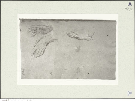 Vorderseite von Istituto Nazionale per la Grafica [https://www.deutsche-digitale-bibliothek.de/content/lizenzen/rv-ez/] Hand- und Fußstudien - , bh463331_recto. Foto.